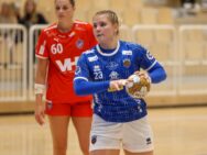 {{brizy_dc_image_alt entityId=