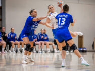 {{brizy_dc_image_alt entityId=