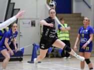 {{brizy_dc_image_alt entityId=