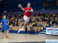 {{brizy_dc_image_alt entityId=