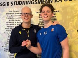 {{brizy_dc_image_alt entityId=