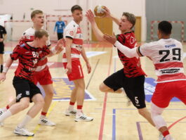 {{brizy_dc_image_alt entityId=