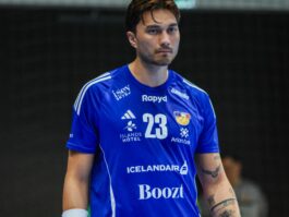 (Kristinn Steinn Traustason)