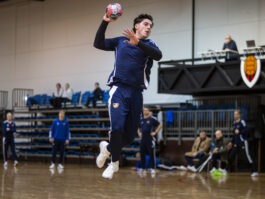 {{brizy_dc_image_alt entityId=