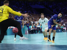 {{brizy_dc_image_alt entityId=