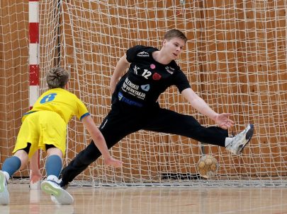 (Skapti Hallgrímsson - Akureyri.net)