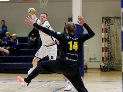 Eyjólfur Garðarsson)