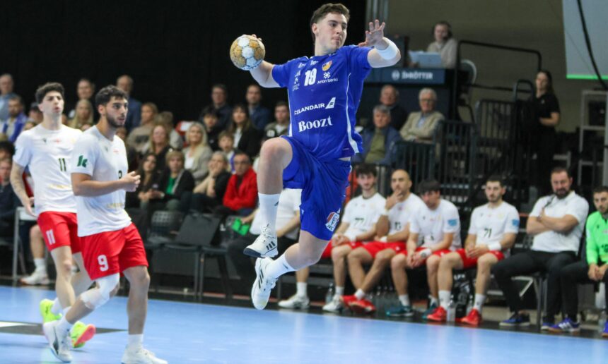 (Kristinn Steinn Traustason)