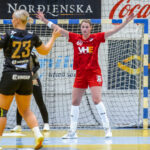 Egill Bjarni Friðjónsson)