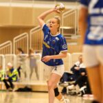 Kristinn Steinn Traustason)