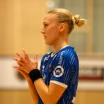 (Kristinn Steinn Traustason)