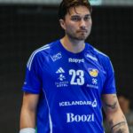 (Kristinn Steinn Traustason)