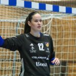 Kristinn Steinn Traustason