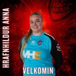Haukar