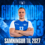 Víðir