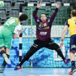 UWE ANSPACH / dpa Picture-Alliance via AFP