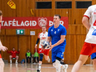 Egill Bjarni Friðjónsson)