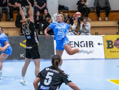 Egill Bjarni Friðjónsson)