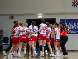 {{brizy_dc_image_alt entityId=