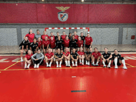 Valur handbolti)