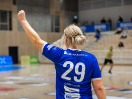 {{brizy_dc_image_alt entityId=