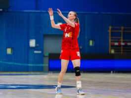 {{brizy_dc_image_alt entityId=