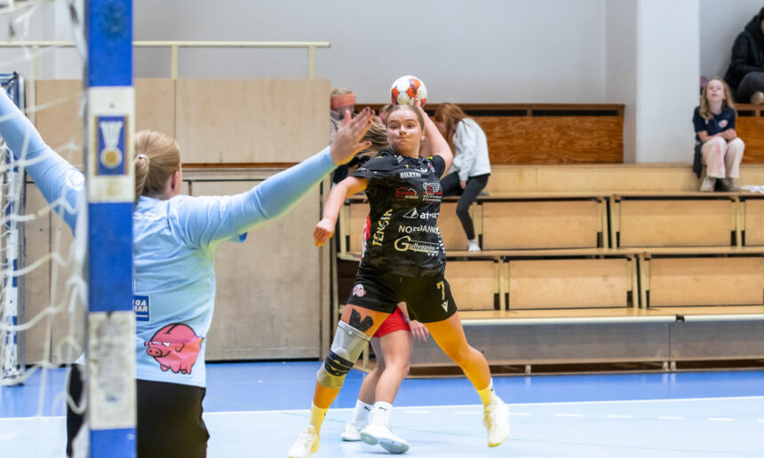 ￼￼Egill Bjarni Friðjónsson