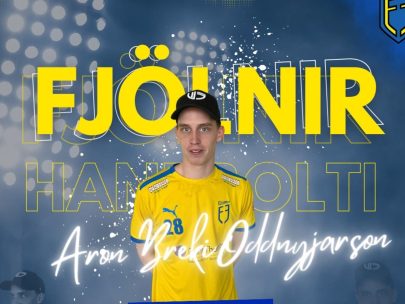 Fjölnir handbolti)