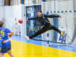 {{brizy_dc_image_alt entityId=