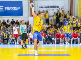 Egill Bjarni Friðjónsson