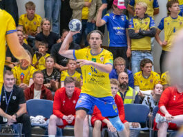 Egill Bjarni Friðjónsson