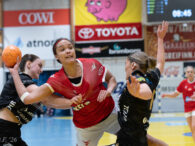 {{brizy_dc_image_alt entityId=