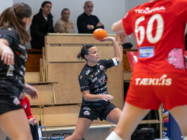 Egill Bjarni Friðjónsson)