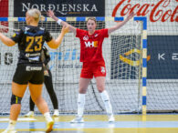 Egill Bjarni Friðjónsson