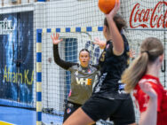 {{brizy_dc_image_alt entityId=