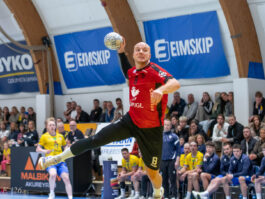 Egill Bjarni Friðjónsson