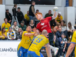 Egill Bjarni Friðjónsson