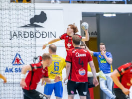 Egill Bjarni Friðjónsson