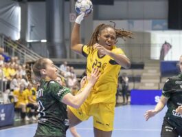 {{brizy_dc_image_alt entityId=