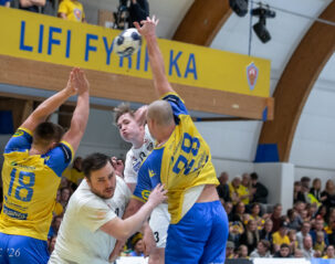 Egill Bjarni Friðjónsson