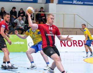 Egill Bjarni Friðjónsson)