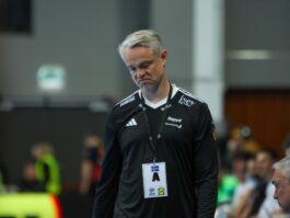 (Kristinn Steinn Traustason)