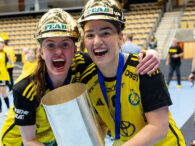Savehof