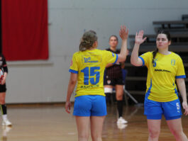 {{brizy_dc_image_alt entityId=