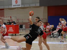 (Brynja Traustadóttir)