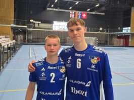 {{brizy_dc_image_alt entityId=