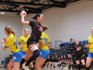 {{brizy_dc_image_alt entityId=