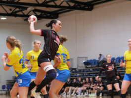 {{brizy_dc_image_alt entityId=