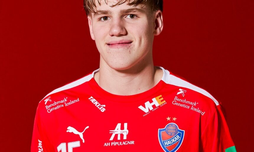 Haukar topphandbolti)