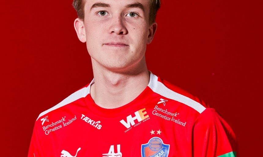 Haukar topphandbolti)